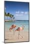 Caribbean, Netherland Antilles, Aruba, Renaissance Island, Flamingo beach-Jane Sweeney-Mounted Photographic Print