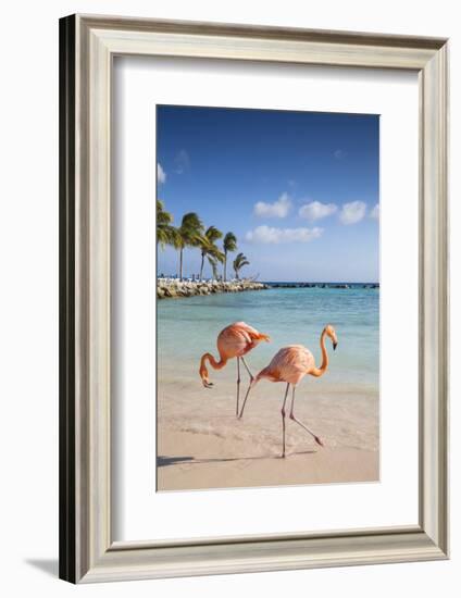 Caribbean, Netherland Antilles, Aruba, Renaissance Island, Flamingo beach-Jane Sweeney-Framed Photographic Print