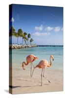 Caribbean, Netherland Antilles, Aruba, Renaissance Island, Flamingo beach-Jane Sweeney-Stretched Canvas