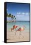 Caribbean, Netherland Antilles, Aruba, Renaissance Island, Flamingo beach-Jane Sweeney-Framed Stretched Canvas