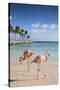 Caribbean, Netherland Antilles, Aruba, Renaissance Island, Flamingo beach-Jane Sweeney-Stretched Canvas