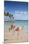 Caribbean, Netherland Antilles, Aruba, Renaissance Island, Flamingo beach-Jane Sweeney-Mounted Photographic Print