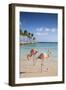 Caribbean, Netherland Antilles, Aruba, Renaissance Island, Flamingo beach-Jane Sweeney-Framed Photographic Print