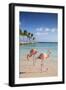 Caribbean, Netherland Antilles, Aruba, Renaissance Island, Flamingo beach-Jane Sweeney-Framed Photographic Print