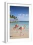 Caribbean, Netherland Antilles, Aruba, Renaissance Island, Flamingo beach-Jane Sweeney-Framed Photographic Print