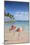 Caribbean, Netherland Antilles, Aruba, Renaissance Island, Flamingo beach-Jane Sweeney-Mounted Photographic Print