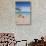 Caribbean, Netherland Antilles, Aruba, Renaissance Island, Flamingo beach-Jane Sweeney-Stretched Canvas displayed on a wall