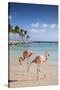 Caribbean, Netherland Antilles, Aruba, Renaissance Island, Flamingo beach-Jane Sweeney-Stretched Canvas