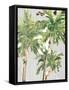 Caribbean Palm Trees-Jane Slivka-Framed Stretched Canvas