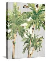 Caribbean Palm Trees-Jane Slivka-Stretched Canvas