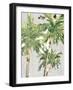 Caribbean Palm Trees-Jane Slivka-Framed Art Print