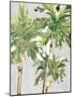 Caribbean Palm Trees-Jane Slivka-Mounted Art Print