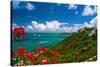 Caribbean Panorama, Fajardo, Puerto Rico-George Oze-Stretched Canvas