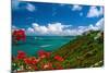 Caribbean Panorama, Fajardo, Puerto Rico-George Oze-Mounted Photographic Print