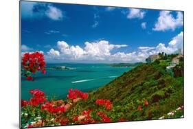 Caribbean Panorama, Fajardo, Puerto Rico-George Oze-Mounted Photographic Print