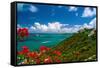 Caribbean Panorama, Fajardo, Puerto Rico-George Oze-Framed Stretched Canvas