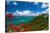 Caribbean Panorama, Fajardo, Puerto Rico-George Oze-Stretched Canvas
