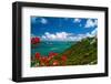 Caribbean Panorama, Fajardo, Puerto Rico-George Oze-Framed Photographic Print