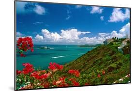 Caribbean Panorama, Fajardo, Puerto Rico-George Oze-Mounted Photographic Print