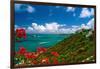 Caribbean Panorama, Fajardo, Puerto Rico-George Oze-Framed Photographic Print