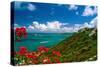 Caribbean Panorama, Fajardo, Puerto Rico-George Oze-Stretched Canvas