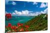 Caribbean Panorama, Fajardo, Puerto Rico-George Oze-Mounted Photographic Print