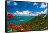 Caribbean Panorama, Fajardo, Puerto Rico-George Oze-Framed Stretched Canvas