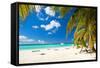 Caribbean Paradise-pashapixel-Framed Stretched Canvas