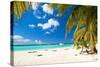 Caribbean Paradise-pashapixel-Stretched Canvas