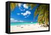 Caribbean Paradise-pashapixel-Framed Stretched Canvas