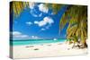 Caribbean Paradise-pashapixel-Stretched Canvas