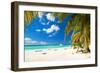 Caribbean Paradise-pashapixel-Framed Photographic Print