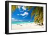 Caribbean Paradise-pashapixel-Framed Photographic Print