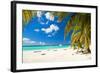 Caribbean Paradise-pashapixel-Framed Photographic Print