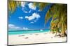 Caribbean Paradise-pashapixel-Mounted Photographic Print