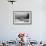 Caribbean Reef Shark, and Diver, Jardines De La Reina National Park-Pete Oxford-Framed Photographic Print displayed on a wall