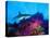 Caribbean Reef Shark and Soft Corals in the Ocean-null-Stretched Canvas