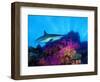 Caribbean Reef Shark and Soft Corals in the Ocean-null-Framed Photographic Print