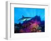 Caribbean Reef Shark and Soft Corals in the Ocean-null-Framed Photographic Print