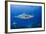 Caribbean Reef Shark, Jardines De La Reina National Park, Cuba-Pete Oxford-Framed Photographic Print