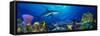 Caribbean Reef Shark Rainbow Parrotfish in the Sea-null-Framed Stretched Canvas