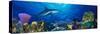 Caribbean Reef Shark Rainbow Parrotfish in the Sea-null-Stretched Canvas