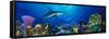 Caribbean Reef Shark Rainbow Parrotfish in the Sea-null-Framed Stretched Canvas