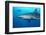 Caribbean Reef Shark-Stephen Frink-Framed Photographic Print