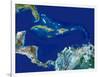 Caribbean, Satellite Image-PLANETOBSERVER-Framed Premium Photographic Print