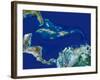 Caribbean, Satellite Image-PLANETOBSERVER-Framed Photographic Print