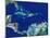 Caribbean, Satellite Image-PLANETOBSERVER-Mounted Photographic Print