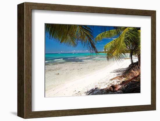 Caribbean Sea Lagoon-pashapixel-Framed Photographic Print