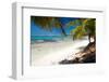 Caribbean Sea Lagoon-pashapixel-Framed Photographic Print