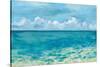 Caribbean Sea Reflections-Silvia Vassileva-Stretched Canvas